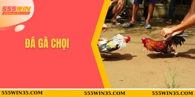 đá gà chọi