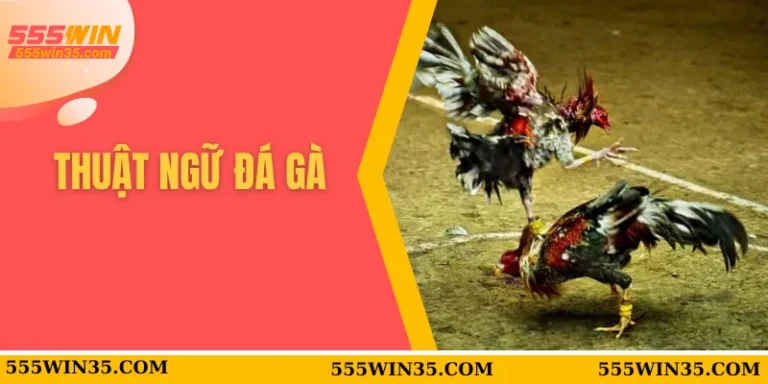 thuật ngữ đá gà